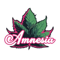 Amnesia