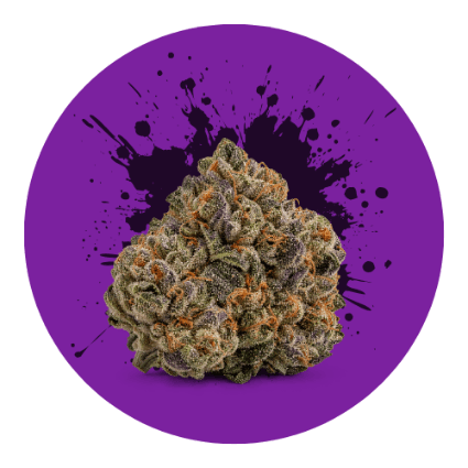 Cannabis Flower in Michigan - Bowz Cannabis Shop Cannabis Flower in Michigan - Bowz Cannabis
